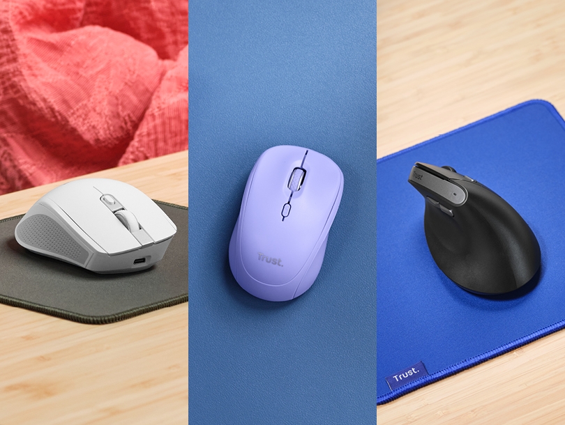 Secondary Story block Image Mice