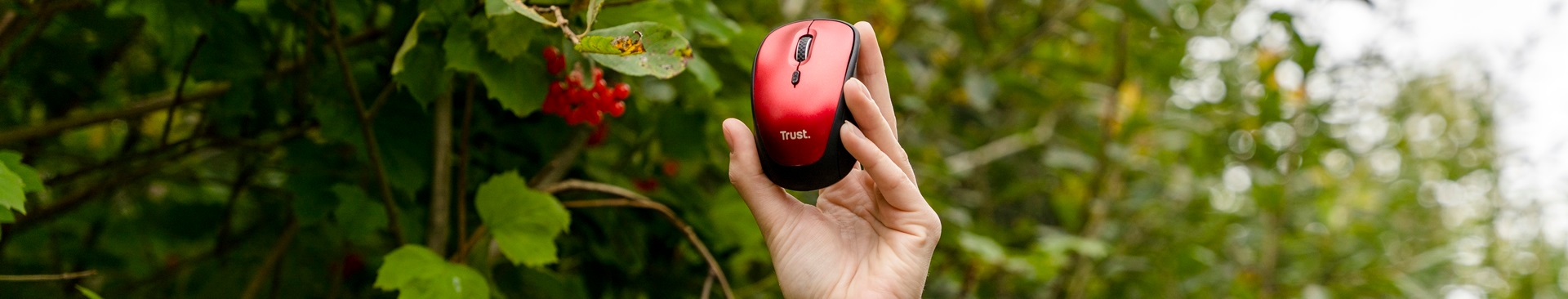 Sustainability page banner 2.jpg